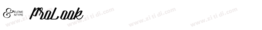 1 ProLook字体转换